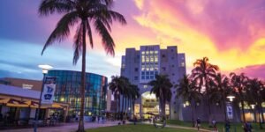 FLORIDA INTERNATIONAL UNIVERSITY (FIU)