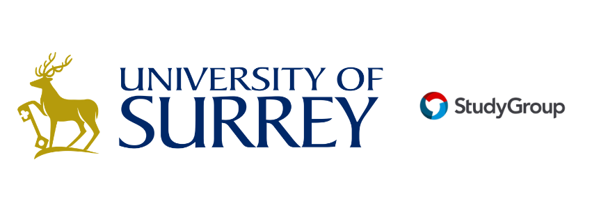 UNIVERSITY OF SURREY