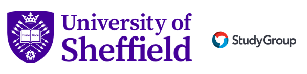 UNIVERSITY OF SHEFFIELD