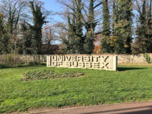 UNIVERSITY OF SUSSEX