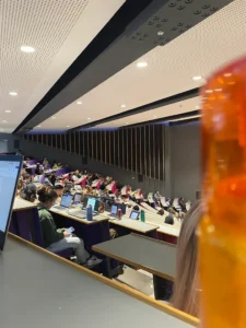 UNIVERSITY OF SUSSEX