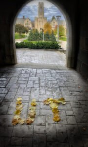 UNIVERSITY OF TOLEDO