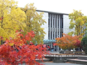 UNIVERSITY OF VICTORIA