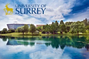 UNIVERSITY OF SURREY