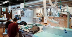 DOMUS ACADEMY